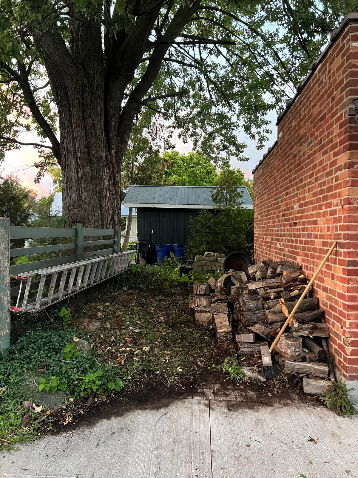 Cleared yard area after the branches and debris were removed