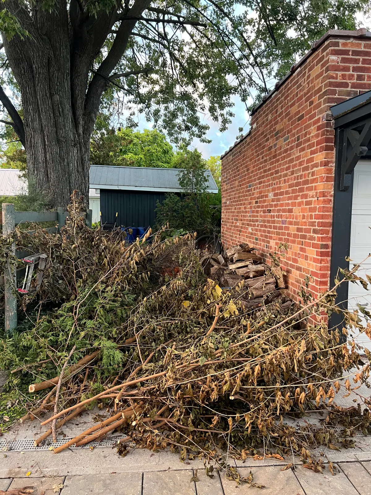 Large pile of branches and yard debris before pickup
